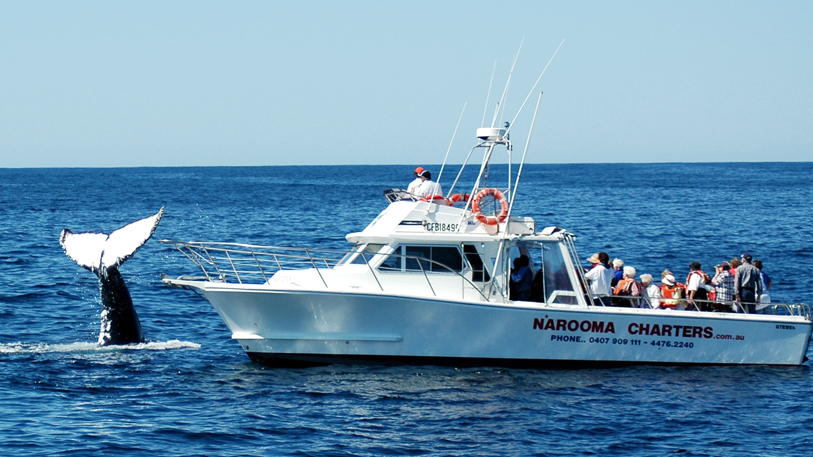 Narooma Charters and Montague Island Tours