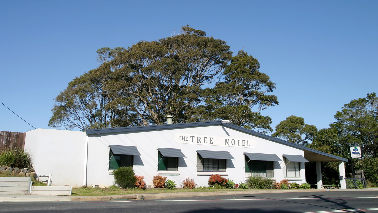 The Tree Motel